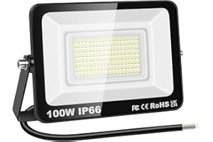 RIGIDON 1x 100W Luci da Esterno, 10000 Lumens Faretto Led, Fari di Sicurezza, Proiettore Led Esterno, Faretti LED Lampada Luce Bianca Freddo 6000K, IP66 Per Giardino Cortile Garage Piazza Officina