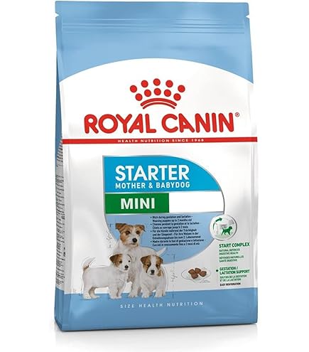 Royal Canin Dermacomfort Mini for Small Dogs, 1 Kg, Dry Food