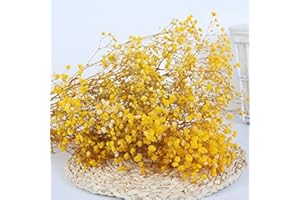 YIWOYI - Ramo de flores secas naturales Gypsophila paniculata preservadas para decoración del hogar y fiestas de boda, color amarillo, 30-40 cm, 30 g