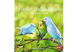 Freche Wellensittiche Postkartenkalender 2026: Die bunten Vögel in einem kleinen Kalender zum Aufstellen und Aufhängen. Perforierter ... von Monika Wegler. (Postkartenkalender Heye)