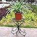 Produktbild BKOLPO Indoor Metall Pflanze Stehen Outdoor Pflanze Eckregal Blumentopf Pflanzgefäße Display Hausgarten Dekoration