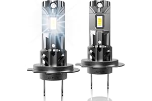 OUSHI Halogen Lampe 800% Helligkeit, 6000K Weiß 30000LM 12V Abblendlicht Halogen Glühbirne (2 Stück)