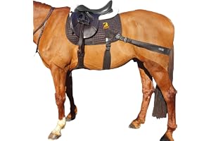 Equine Balance Bands Equine Band System - Core Training Aid for Horses. Saddle Pad and Equibands System
