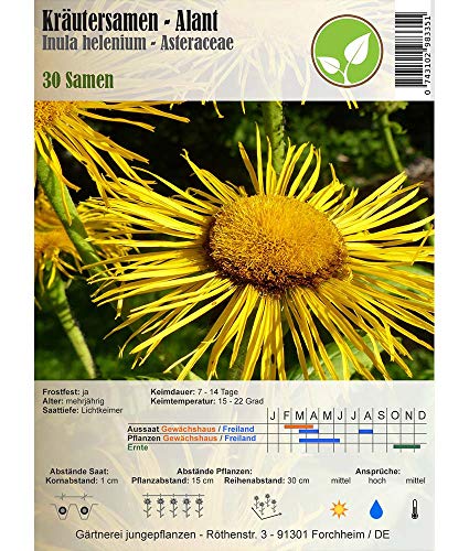 jungepflanzen Semillas de Hierbas - Helenio/Inula helenium - Asteraceae 30 Semillas