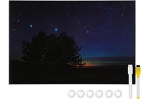 DOLLAR BOSS Lavagna magnetica, lavagna magnetica 50 x 70 cm per la parete, Memoboard lavagna magnetica stampata con 6 magneti, 2 penne