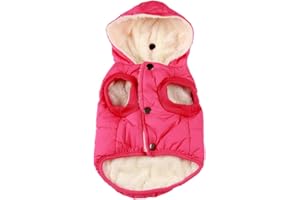 JoyDaog Sweat à capuche en polaire et coton pour chien