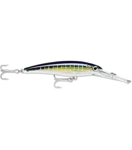 Rapala X-Rap Magnum XRMAG40-S – Esca Affondante Argento Per Tonno E Pesca D'altura