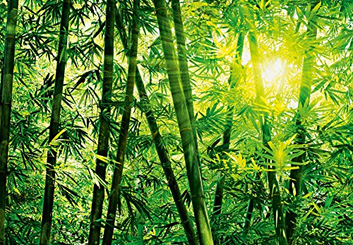 Idealdecor 123 Bamboo Forest, 366 x 254 cm