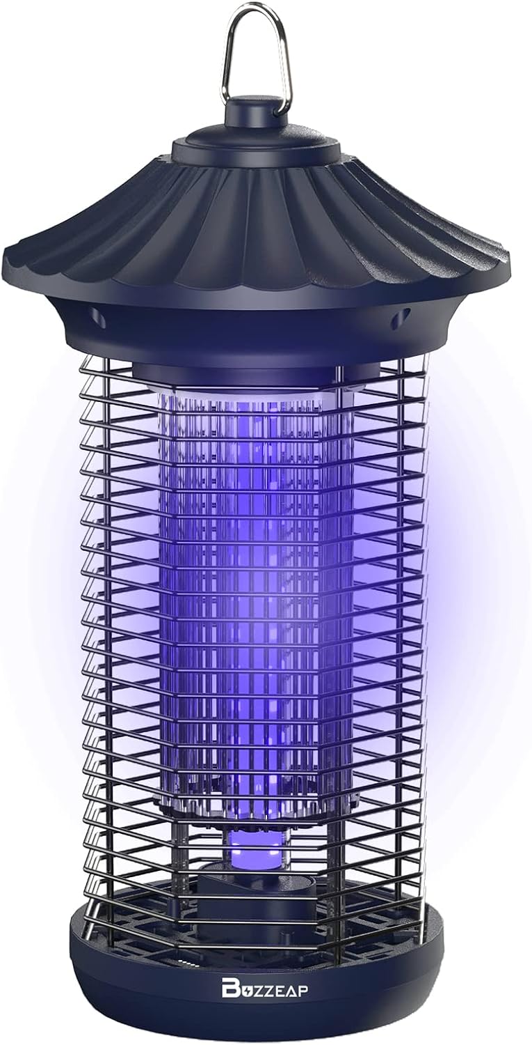 Vue 11