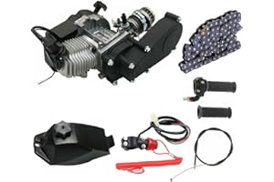 YYANLAK 49CC Mini Motor, 2-Takt Engine Komplettmotoren Motor, Mini Getriebe Vergaser Pocket Bike Motor, Einzylinder Complete Engine Motor, für Mini Pocket Dirt Bike ATV