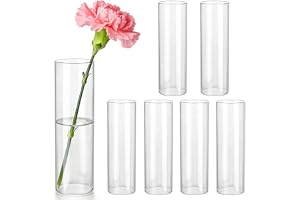 6 stycken små vaser för bordsdekoration 15 cm, glasvas-cylindervas-set, liten blomvas 200 ml, cylindervas, glas, glascylinder, moderna glasvaser för blommor, fest, ljusglas, vardagsrum, bröllop