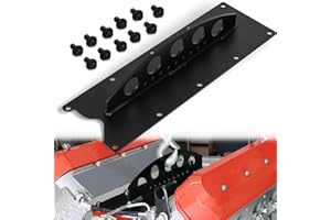 CAMOO LS Engine Lift Plate Engine Hoist Picker Crane Lift Plate Fits for Chevy LS LSX LS1 LS2 LS3 LQ4 6.0 6.2 5.3 4.8 Gen III IV 3 4