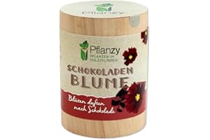 Feel Green Pflanzy Schokoladenblume, Nachhaltige Geschenkidee (100% Eco Friendly), Grow Your Own/Anzuchtset, Pflanzen im Holzzylinder, Made in Austria, Holz