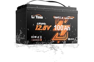 LiTime 12V 100Ah Batteria Litio LiFePO4 con Bluetooth OBM e Protezione Bassa Temperatura, Formato Group 31, Integrato BMS 100A, 15000 Cicli, per Motore Elettrico Fuoribordo Barca nautica Caravan