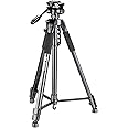 Kodak T300 Tripod for DSLR, Camera |Operating Height: 5.90 Feet | Maximum Load Capacity up to 5kg | Portable Lightweight Aluminum Tripod with 360 Degree Ball Head | Carry Bag Included (Black)