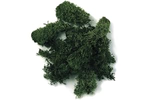 Rayher 8500413 Iceland Moss Dark Green 30 g Real Natural Moss (Iceland) Preserved Cleaned for Crafts Decorative Moss for Easter Christmas Model Making