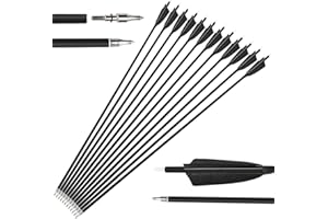 HNZMDY 6pcs Archery Carbon Arrows 28/30/31 inch Shaft Hunting Target Arrows Spine 500 with Nature Feather for Compound Bow Recurve Bow