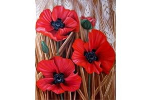 CaptainCrafts DIY Paint by Numbers for Adults Beginners Oil Painting by Numbers Kits Linen Canvas Home Art Wall House Decoration 16x20Inch (Fresh Red Poppies Flowers, Frameless)