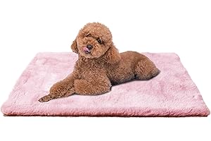 Ostlttyn Dog Bed Mat Washable 61x45 cm Dog Crate Mattress for Small Dogs Waterproof Ultra Soft Orthopedic Puppy Beds Mat with Anti-Slip Bottom, Pink