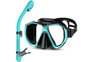 Honlanor Snorkel Set, Snorkel Dry Top Snorkeling Gear for Adult, Panoramic View Anti-Fog Mask, Dry Top Snorkel and Gear Bag, Man Woman Snorkel Gear for Swimming Training Snorkeling Diving