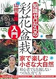 bonsai zero pino primer alambrado  Chishiki zero kara no saika bonsai nyuÌ\"mon