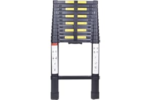 EGTink Escalera telescópica de aluminio multiusos, 5 m, extensible de aluminio, soporta hasta 150 kg, color negro