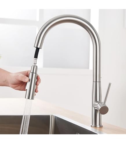 Grifo Roca Grifo De Cocina Con Ducha Extraible Grifo De Cocina Con