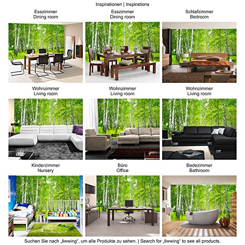 Vlies Fototapete PREMIUM PLUS Wand Foto Tapete Wand Bild Vliestapete – SUNNY BIRCH FOREST – Birkenwald Bäume Wald Sonne Birkenhain Birke Birken Gras Natur Baum – no. 112, Größe:300x210cm Vlies - 4
