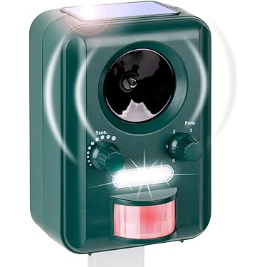 Cane Spaventa Un Micio, Ma Mamma Gatta Non Ci Sta - Foto 9