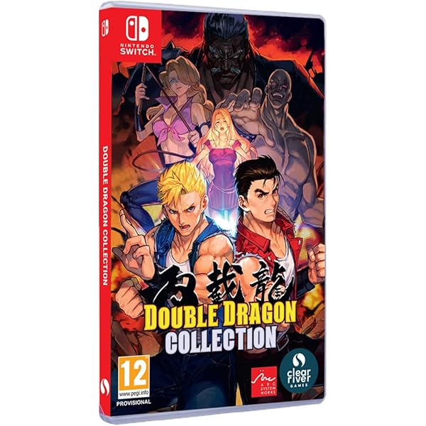 Double Dragon Collection Nintendo Switch : : Jeux vidéo