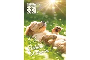 Agenda scolaire 2025 2026 Chien Golden Retriever Journalier 1 jour par page Petit format poche 12x17 - Fille, garçon - Chiot: Primaire, collège, lycée - 1 page par jour - Original - Animaux