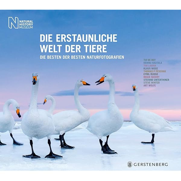 Die Seele der Tiere : SCHELS, WALTER & SABINE SCHWABENTHAN