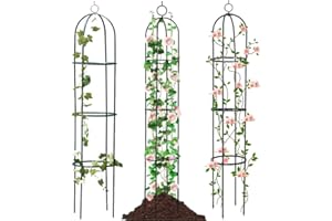 SEVERNO Gartenbogen aus Stahl, 190cm hoch, Hochzeitsbogen, Garten-Pergolat,Garten Rankgitter Rankhilfe Rankbogen Dunkelgrün
