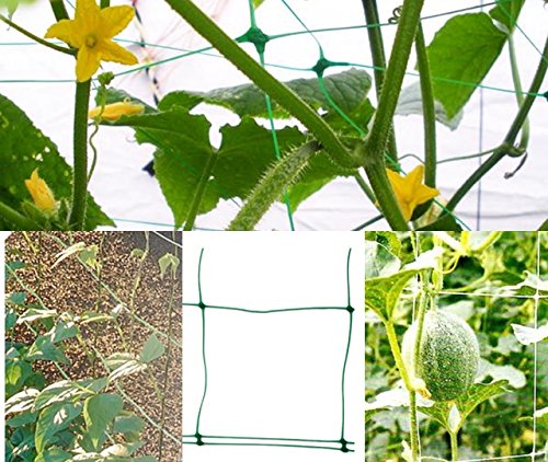 Ranknetz Rankhilfe Pflanzennetz Gartennetz Stütznetz 2 x 10m - 4