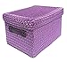 Neon Bright Colours Kids Playroom Toy Box Cupboard Storage Basket + Handle & Lid[Purple,LARGE 32x25x22cm]