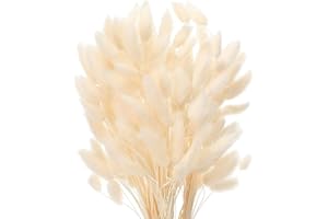 JKDHJK 50 Stäbchen Pampasgras Trockenblumen Verwelken Nie Trockenblumen Deko Boho Deko Super Flauschig Für Deko Schlafzimmer、 Badezimmer Deko、 Tischdeko、 Wand Deko (Weiß)