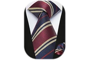 HISDERN Cravate Homme Mariage Cravate à Carreaux/Pied-de-poule et Mouchoir La Cravate des Hommes & Carre de poche Set