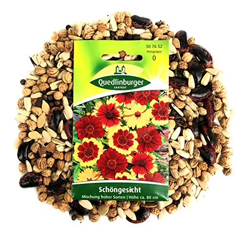 Premium Blühender Zaun inkl. 1 Pkg. Schöngesicht kostenlos - 6