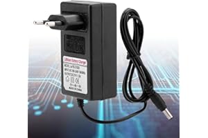 HONIWU DC 21V 2A Universal Netzteil, 42W Power Supply, DC/AC Universal Adapter für Lautsprecher, Kamera Lampe, Suchscheinwerfer, Balance Auto, Haushaltselektronik