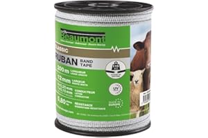 BEAUMONT - Ruban 12 mm - blanc/vert