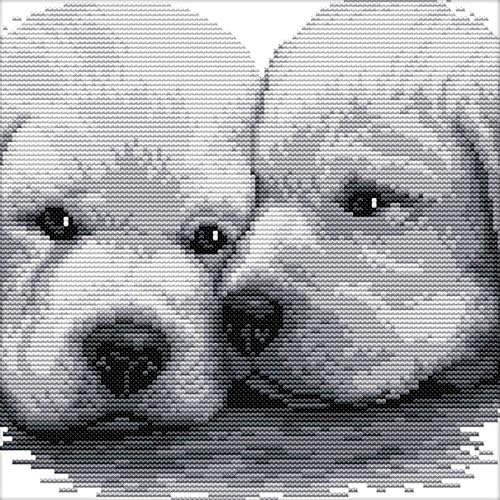 Cross Stitch Embroidery Kit Embroidery Cross Stitch Embroidery Dog Puppies 35 x 35 cm