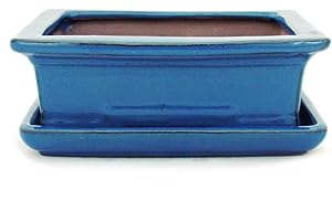 exotenherz - Bol à bonsaï avec soucoupe taille 3 - Bleu - carré - Modèle G29 - L 18 cm - l 13 cm - H 6 cm