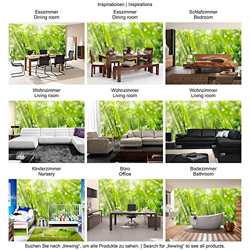 Vlies Fototapete PREMIUM PLUS Wand Foto Tapete Wand Bild Vliestapete – Blumen Blüte Natur – no. 199 Natur Gras Wiese Halm Sonne, Größe:350x245cm Vlies - 4