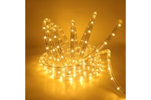 Wisada 220V LED Rope Light [2m, Warm White 3000-3500K], 360° Luminous Lighting LED Strip, IP67 Waterproof Flexible, Suitable for Indoor and Outdoor Decoration