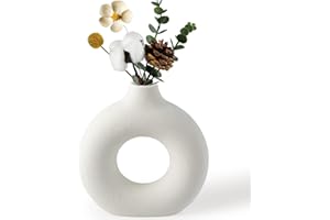 BASVII BiałY Ceramiczny Wazon Z PąCzkami Na Trawę Pampa, Nowoczesny OkrąGłY Wazon Na Kwiaty Boho Dekoracyjny Do Domu, Salonu I Biura