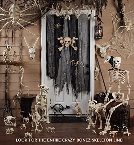Crazy Bonez Posable Skeleton Decoration, 36