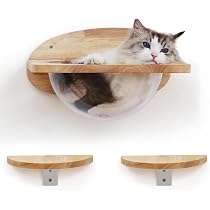 Amaca Gatto da Parete - Percorso Arrampicata e Mensola Riposo Moderna Amaca Gatto da Parete - Percorso Arrampicata e Mensola Riposo Moderna