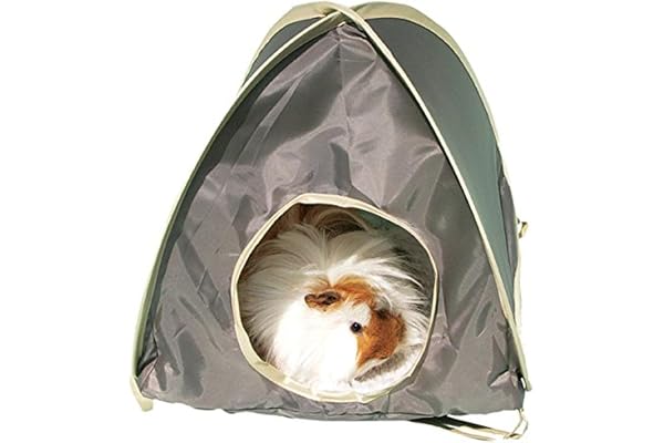 Rosewood Boredom Breaker Tente Escamotable et Jouet d'Activité pour Petits Animaux Moyen