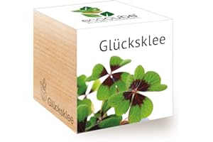 Feel Green Ecocube Lucky Clover, Idea de regalo sostenible (100% respetuoso del medio ambiente), Cultiva tu propio / Set de plantas, Plantas en cubo de madera, Hecho en Austria