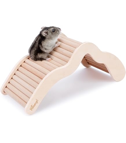 Hamsterleiter Aus Holz, 16 Cm - Kletterspielzeug Für Käfig, Hamster, Mäuse & Kleintiere